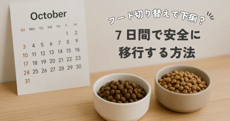 犬のフード(餌)を変えたら下痢…いつまで続く？通常2〜3日で回復【症状別の対処法】